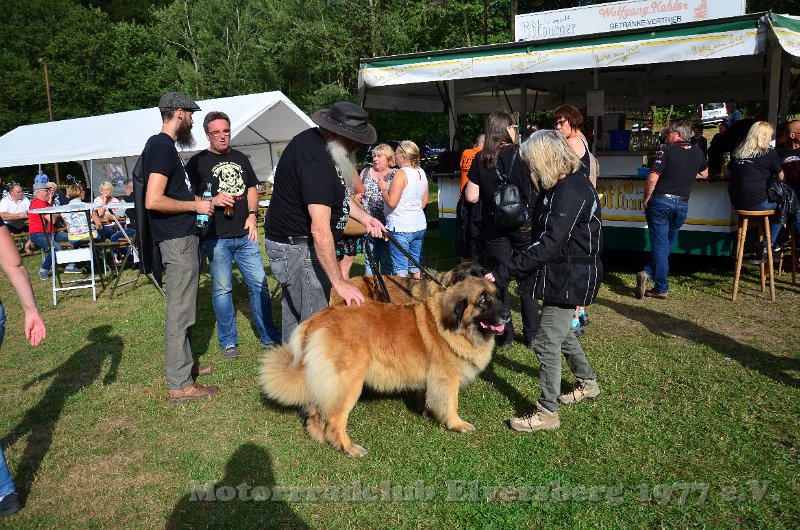 Sommertreffen 2019 - 097